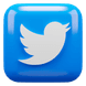 Twitter Icon